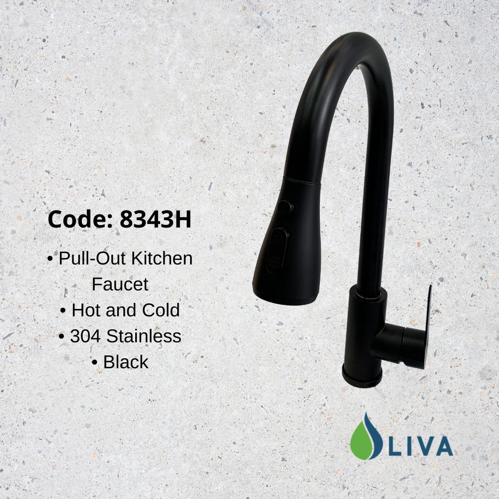 Oliva Black Pull-Out Kitchen Faucet - 8343H