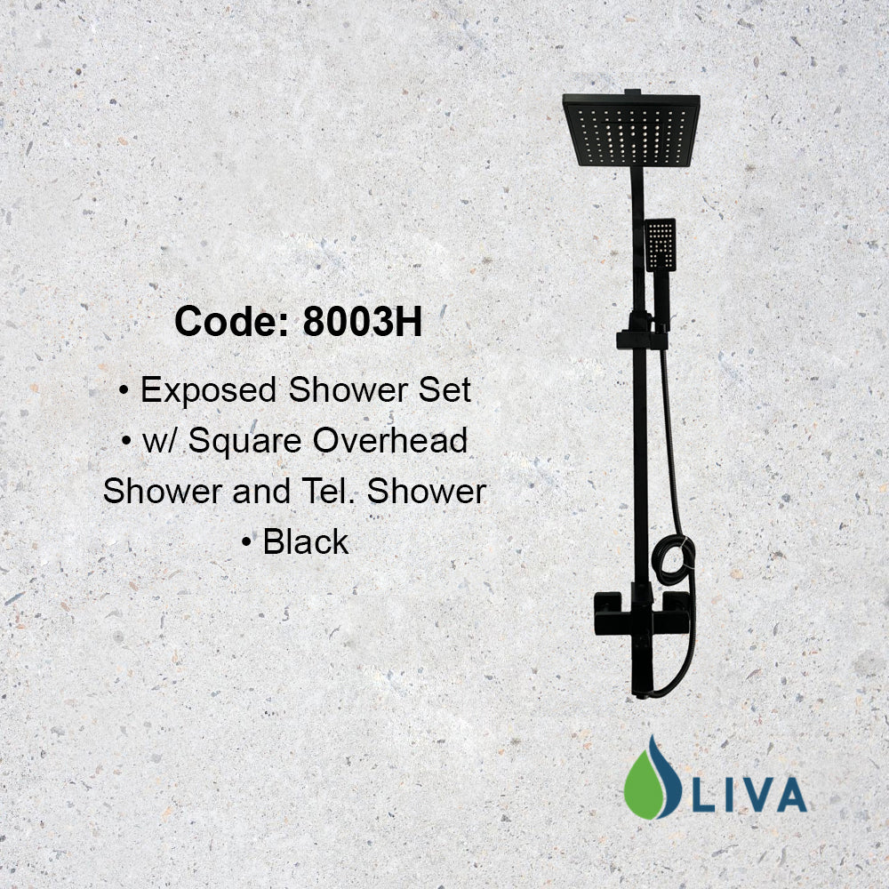 Oliva Black Multipoint Shower Set - 8003H